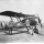A Brief History of the Royal Australian Air Force: The Early Years - 1914 to 1939